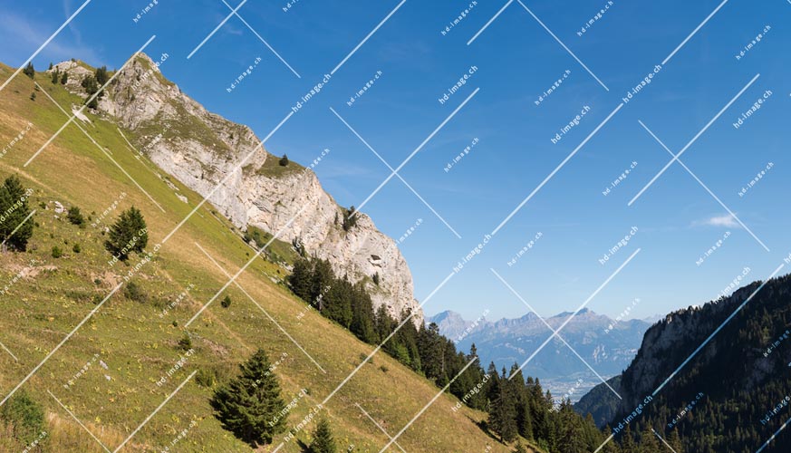 hdimage