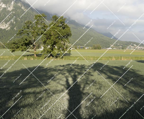 hdimage